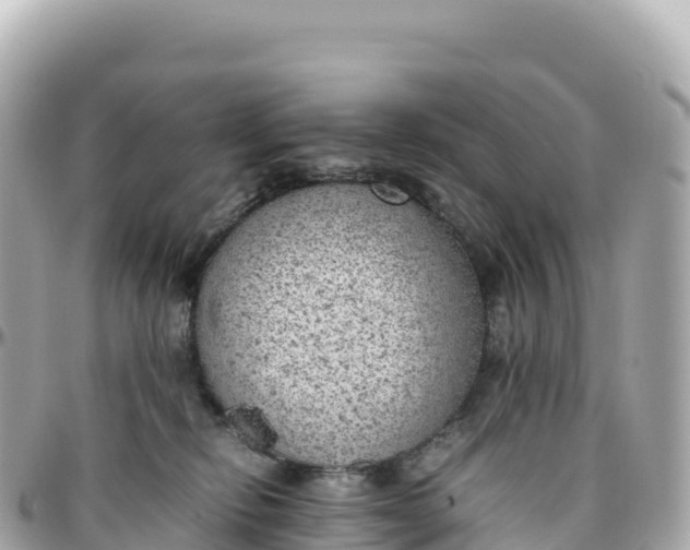 X0000095890278200801251209