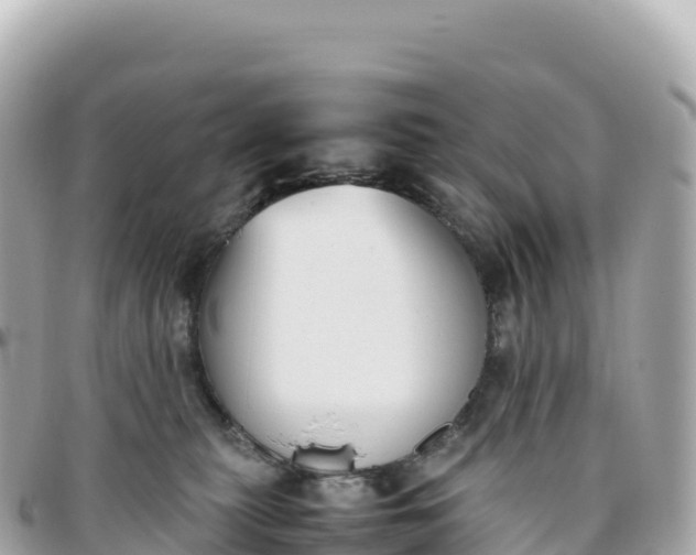 X0000095890279200801251209