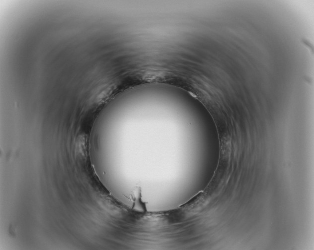 X0000095890280200801251209