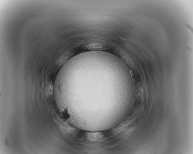 X0000095890281200801251209