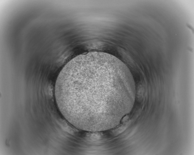 X0000095890282200801251209