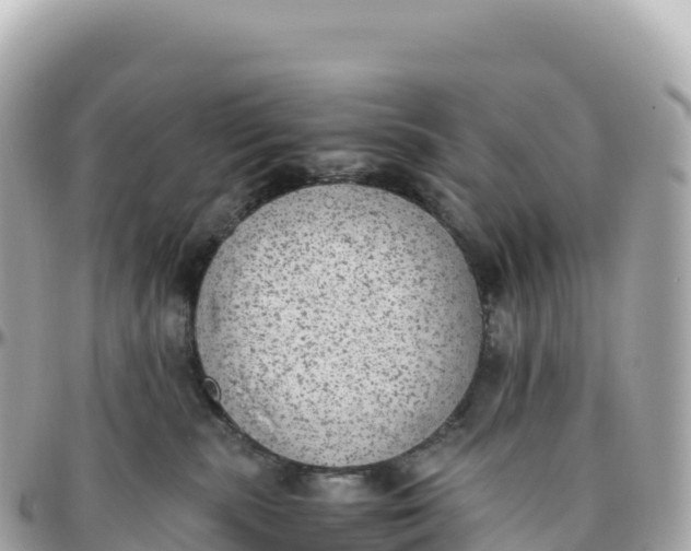 X0000095890283200801251209