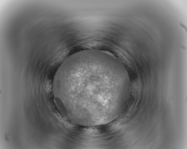 X0000095890284200801251209