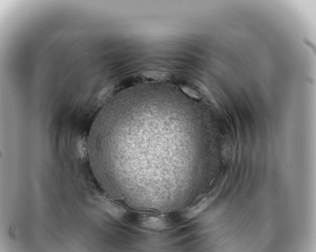 X0000095890285200801251209