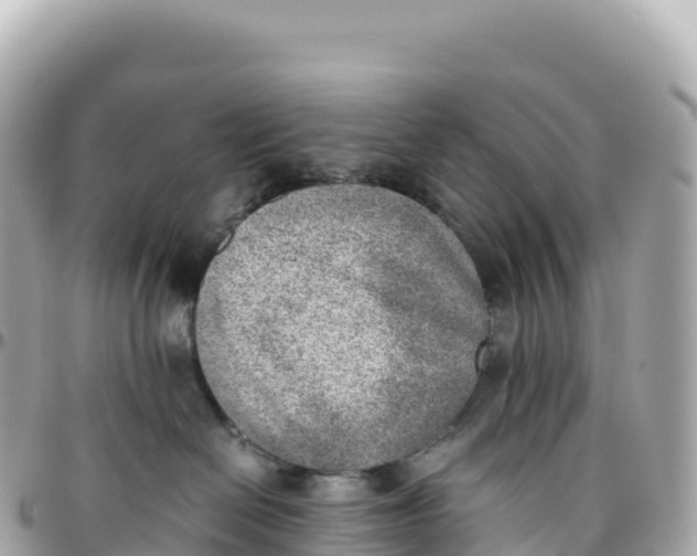 X0000095890286200801251209