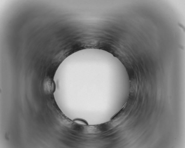 X0000095890287200801251209