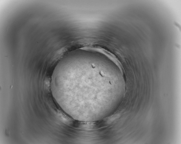 X0000095890288200801251209