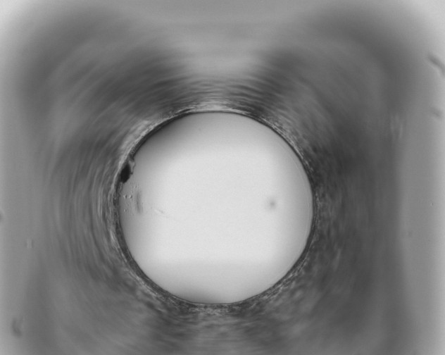 X0000095890289200801251208