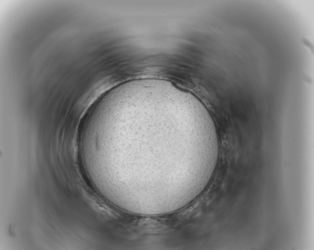 X0000095890290200801251208