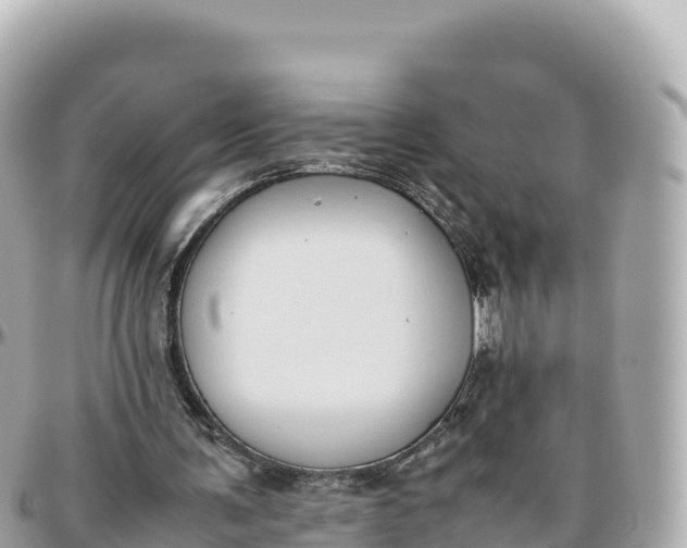 X0000095890291200801251208