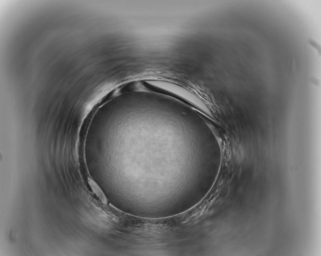 X0000095890292200801251208