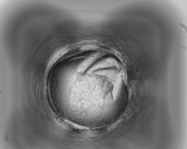 X0000095890293200801251208