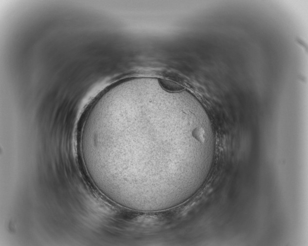 X0000095890294200801251208