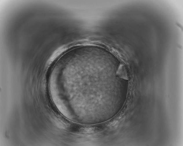 X0000095890295200801251208