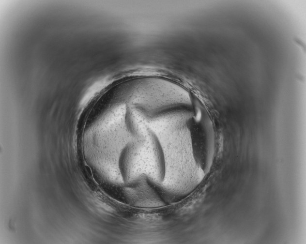 X0000095890296200801251208