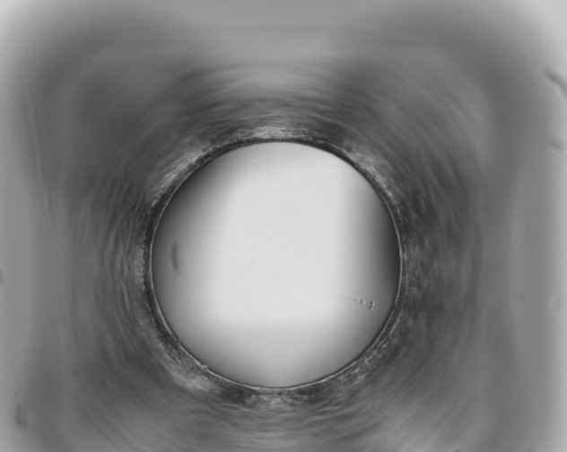 X0000095890297200801251208