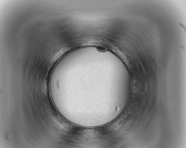 X0000095890298200801251208