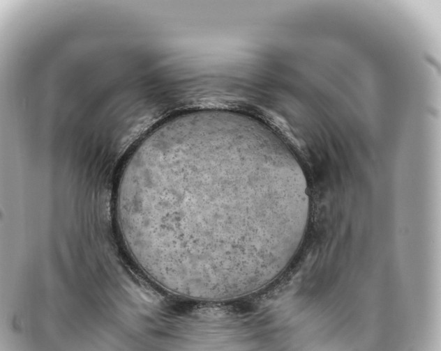 X0000095890299200801251208