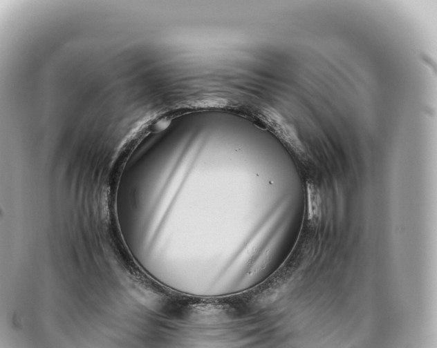 X0000095890300200801251208