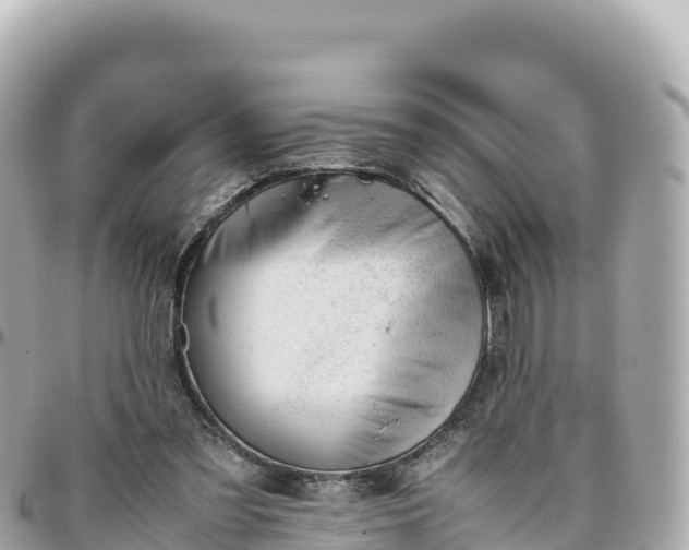 X0000095890301200801251208