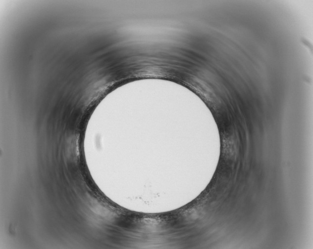 X0000095890302200801251208