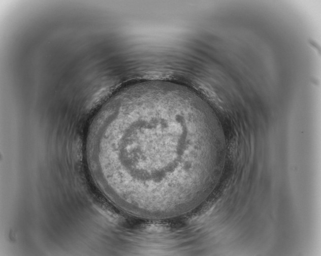 X0000095890303200801251208