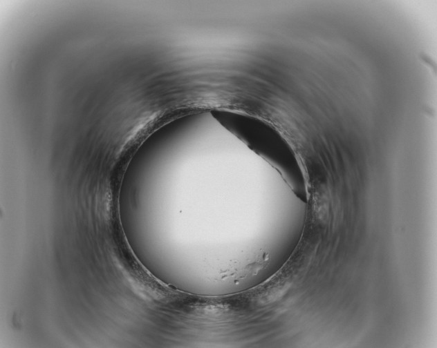 X0000095890304200801251208