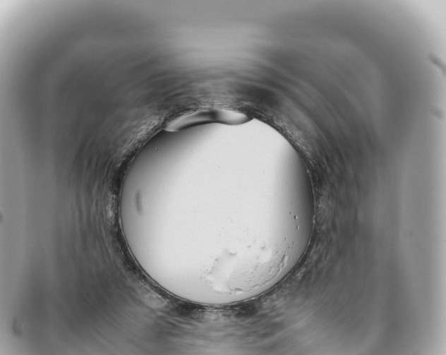 X0000095890305200801251208