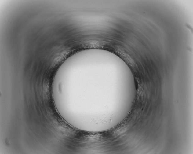 X0000095890306200801251208