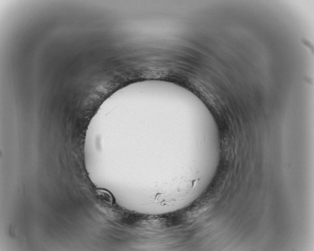 X0000095890307200801251208