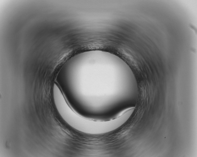 X0000095890308200801251208