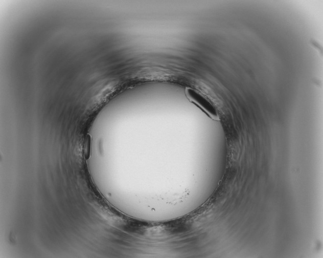 X0000095890309200801251208