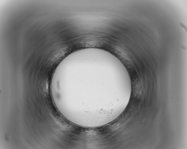 X0000095890310200801251208