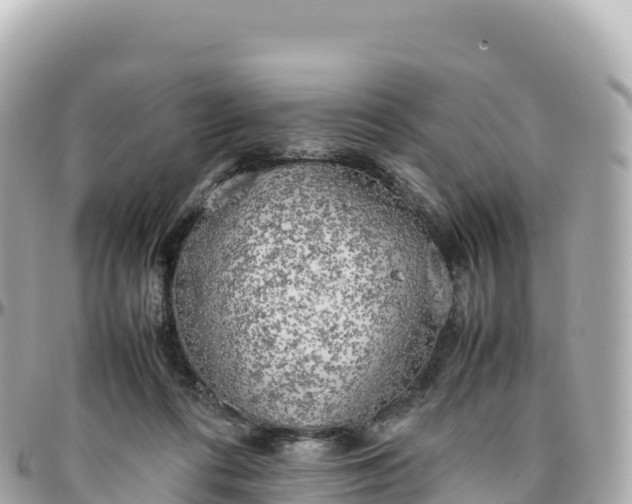 X0000095890312200801251208