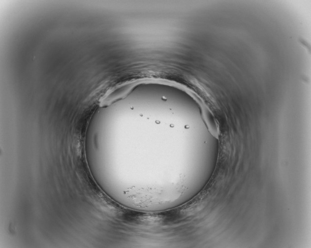 X0000095890313200801251208