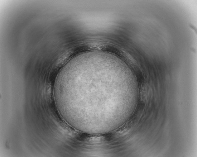 X0000095890314200801251208