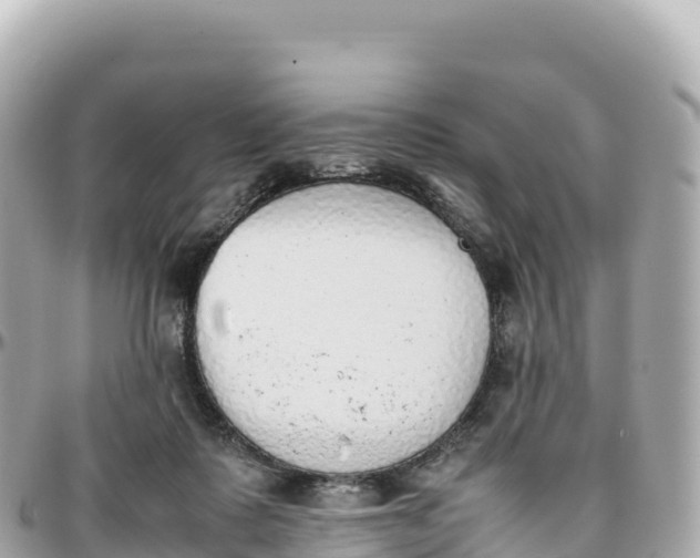 X0000095890315200801251208