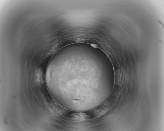 X0000095890316200801251208