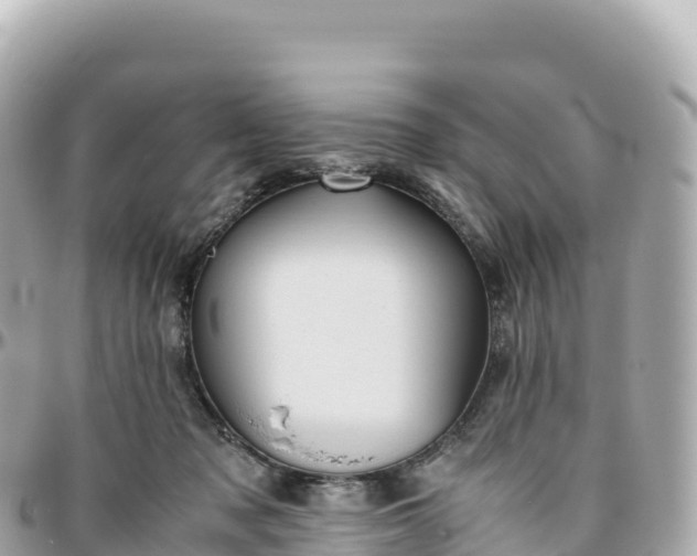 X0000095890317200801251208