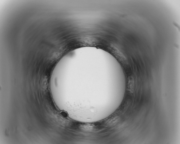 X0000095890318200801251208