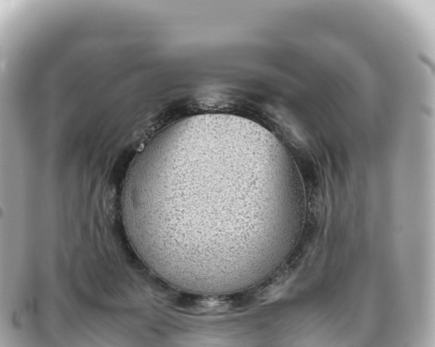 X0000095890319200801251208