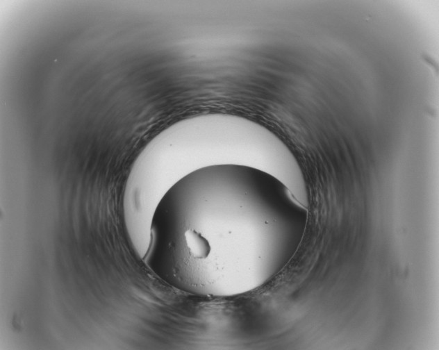 X0000095890320200801251208