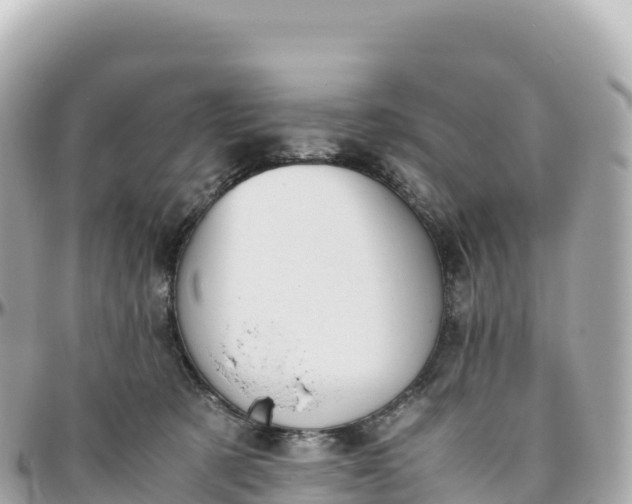 X0000095890321200801251208