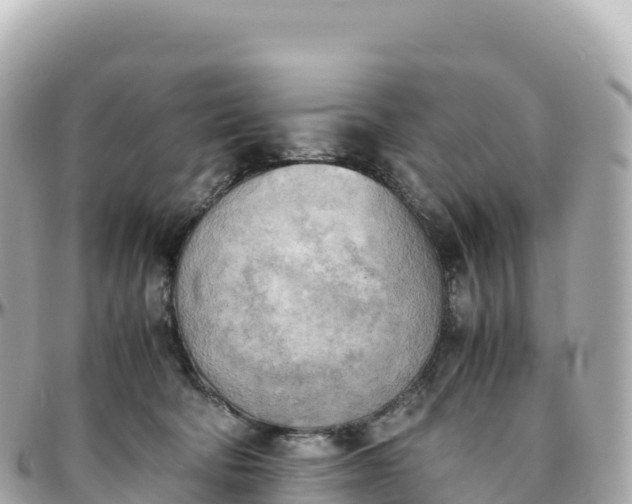 X0000095890322200801251208