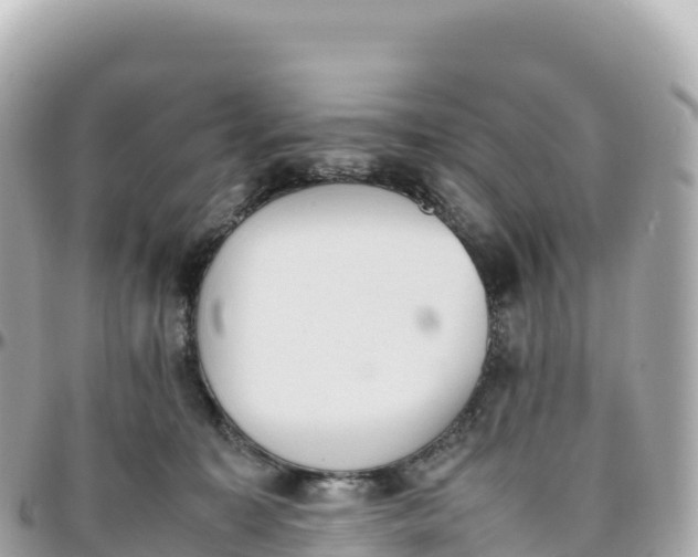 X0000095890323200801251208