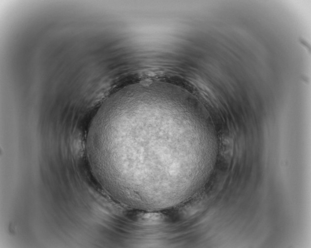 X0000095890324200801251208