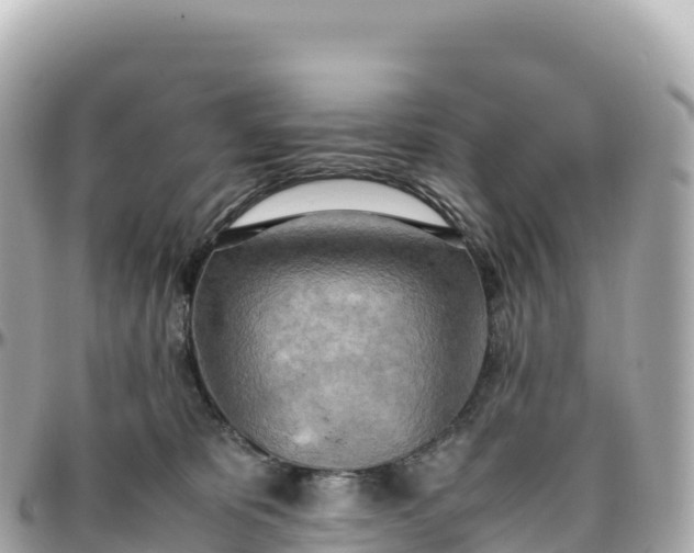 X0000095890325200801251208