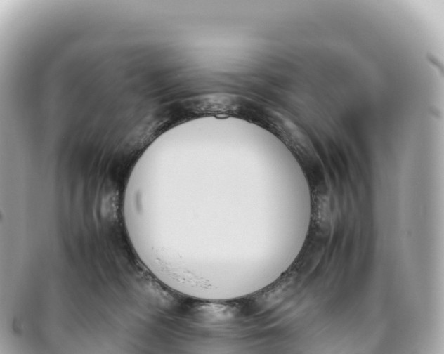 X0000095890326200801251208