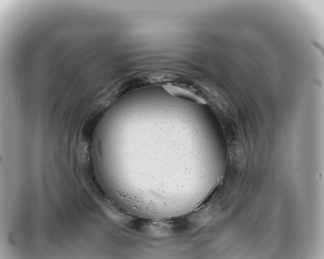 X0000095890327200801251208