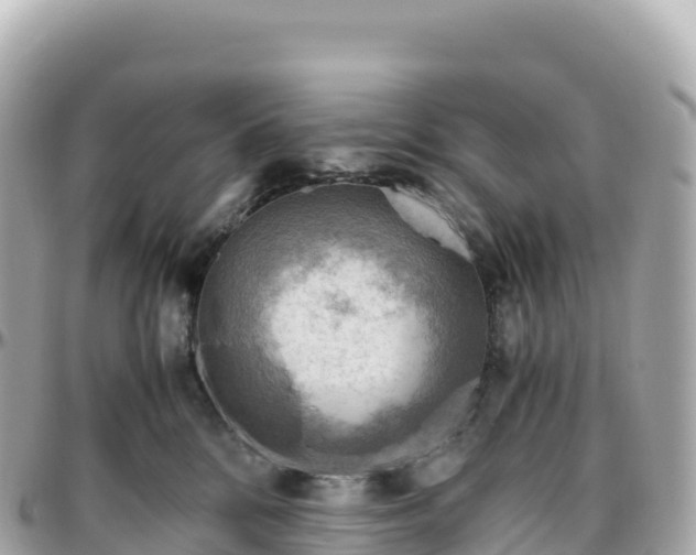 X0000095890328200801251208